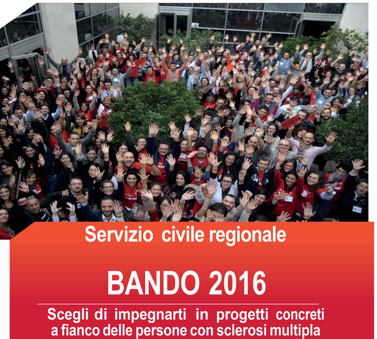 Servizio Civile per l'Associazione della Sclerosi Multipla