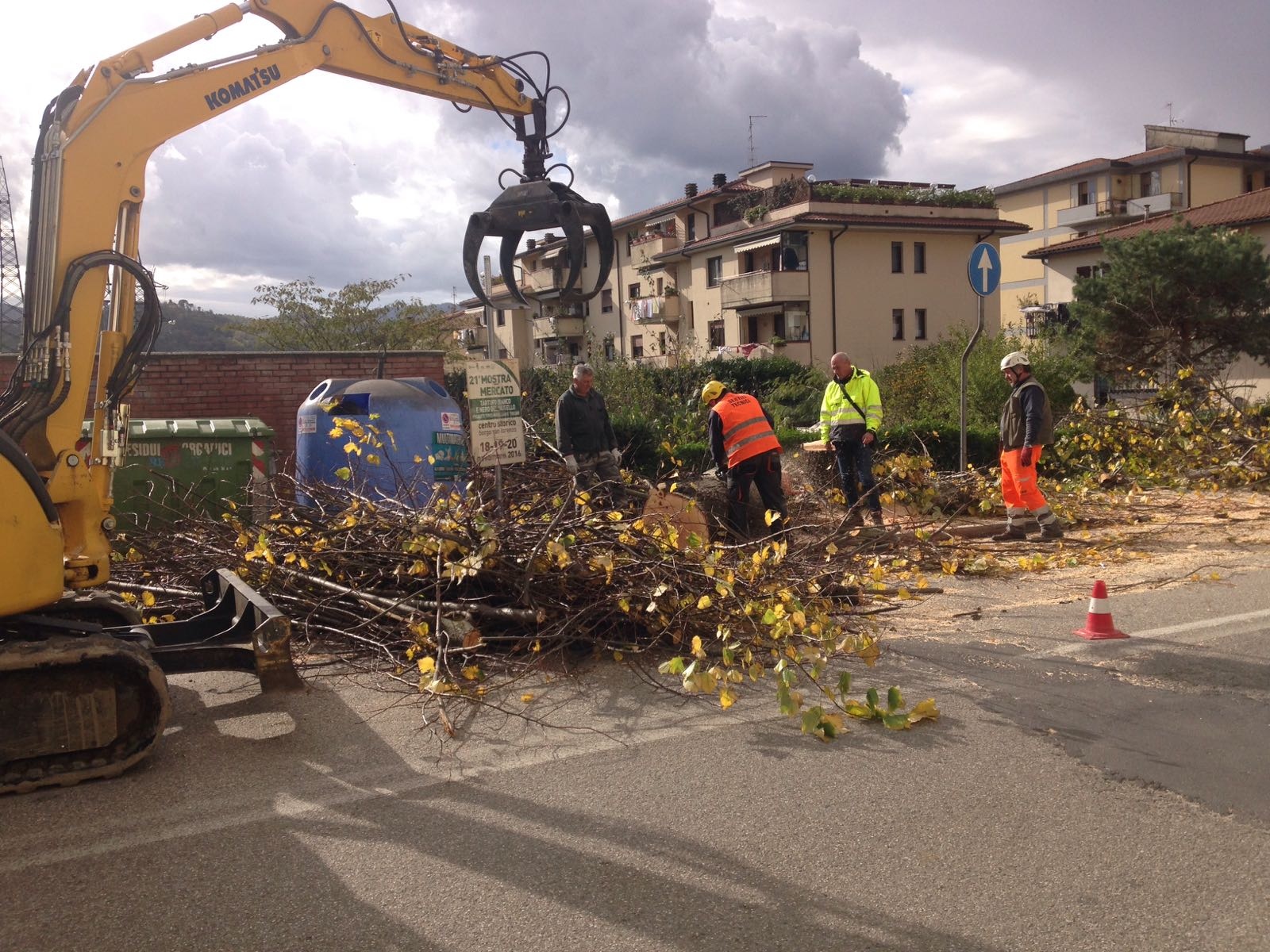 alberi-abbattuti-borgo tigli
