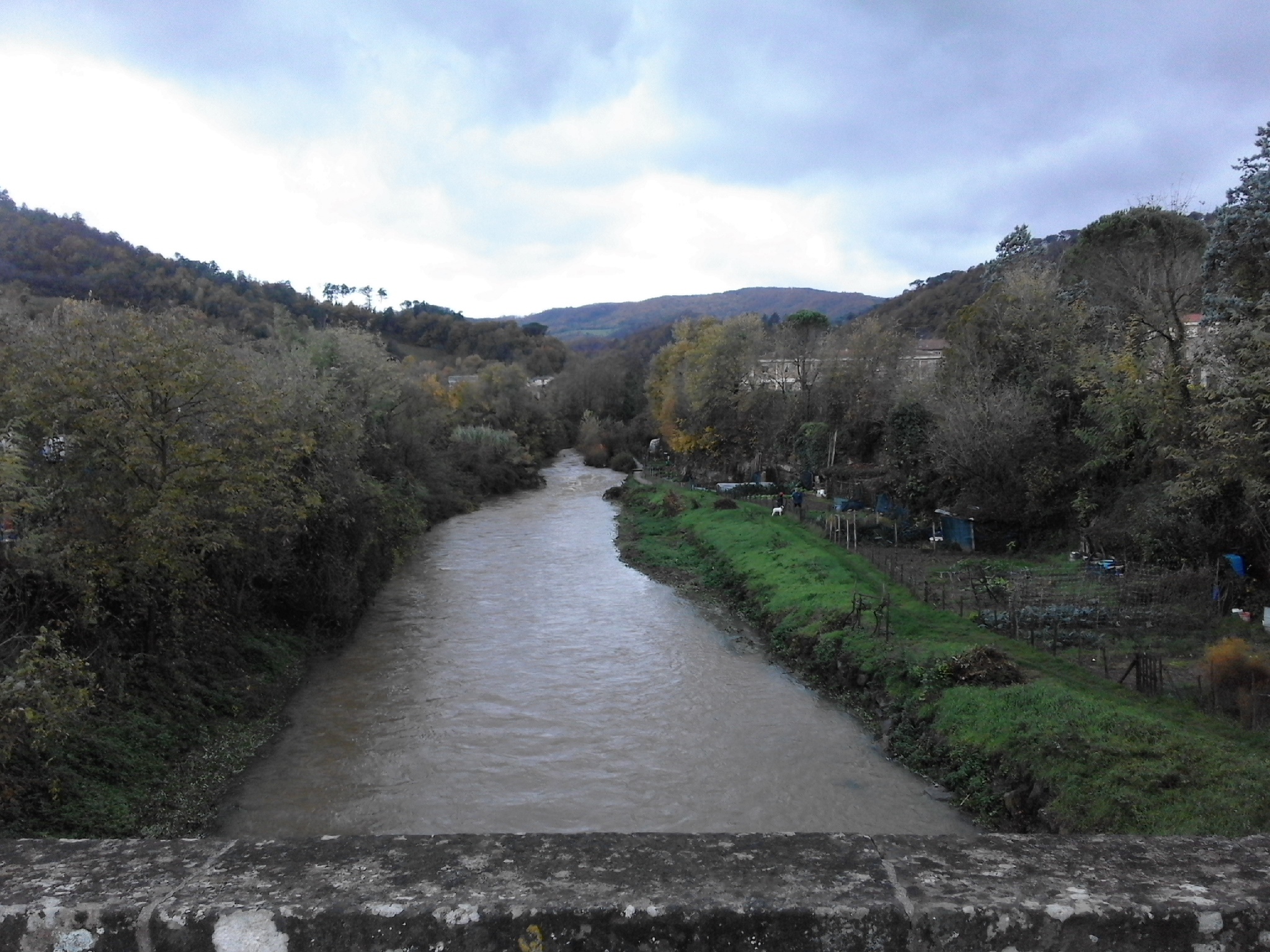 Finalmente... il Carza