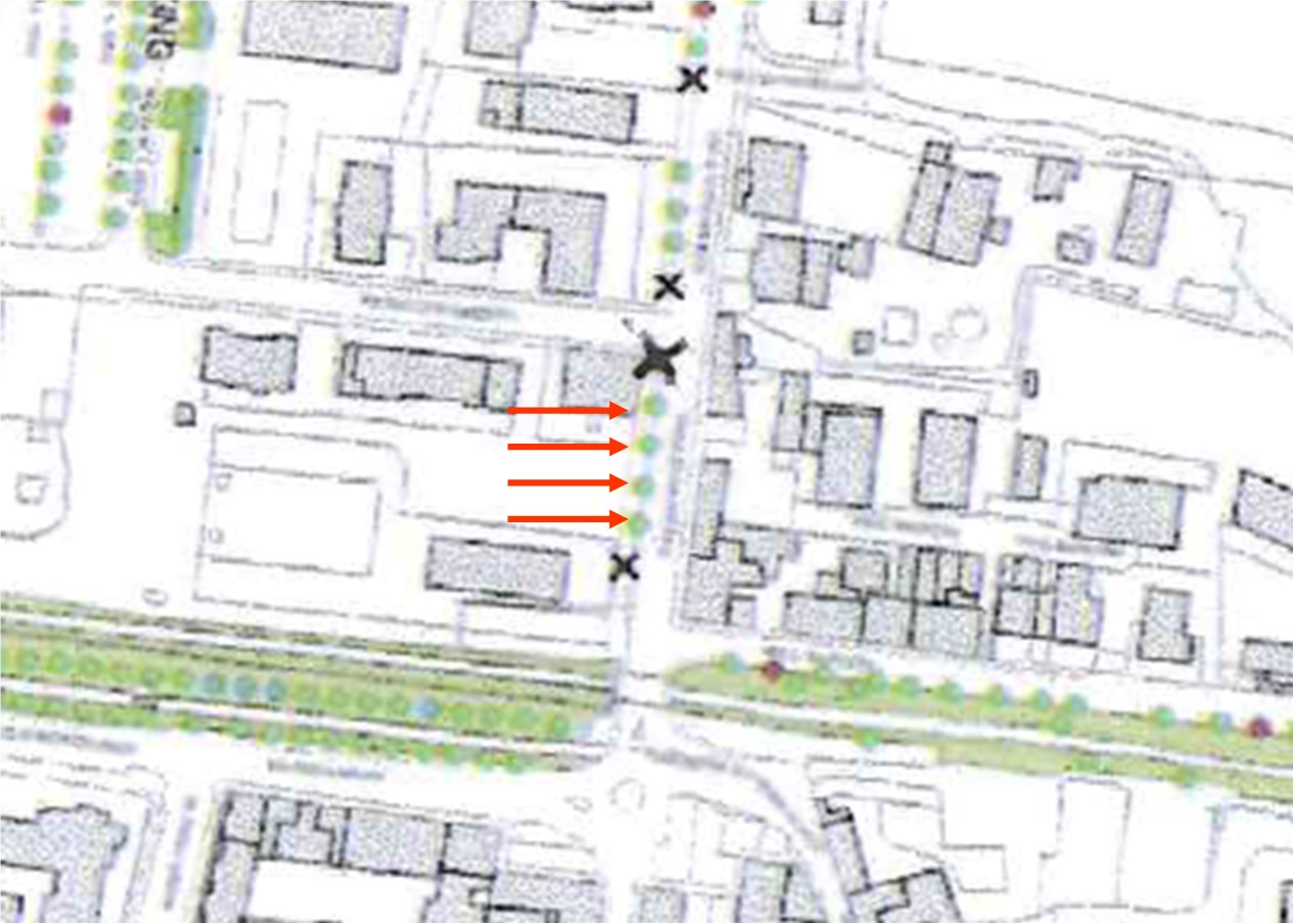 Tigli abbattuti per fare posto alla ciclabile. Ma non tutti sono d'accordo