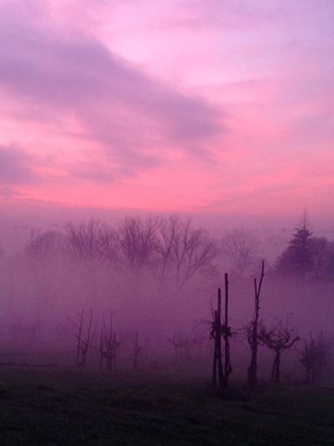 Nebbie magiche a Scarperia. Foto del giorno (senza effetti né filtri)