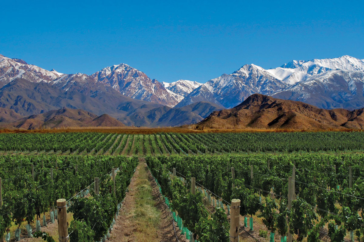 Finalmente Mendoza ""Città del vino"". In moto fino alla fine del mondo