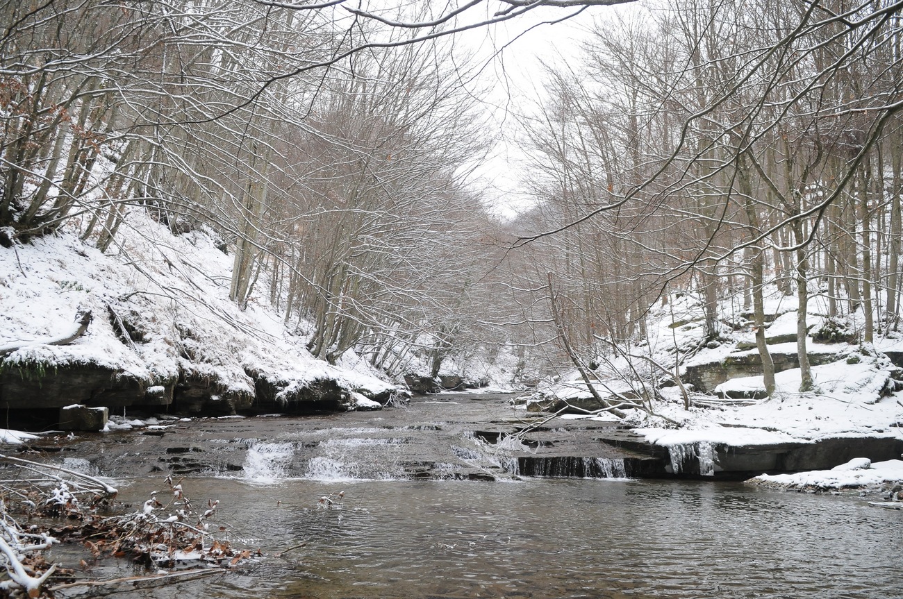 OK!Mugello torna nel Rovigo, una settimana dopo. Meno ghiaccio ma più neve
