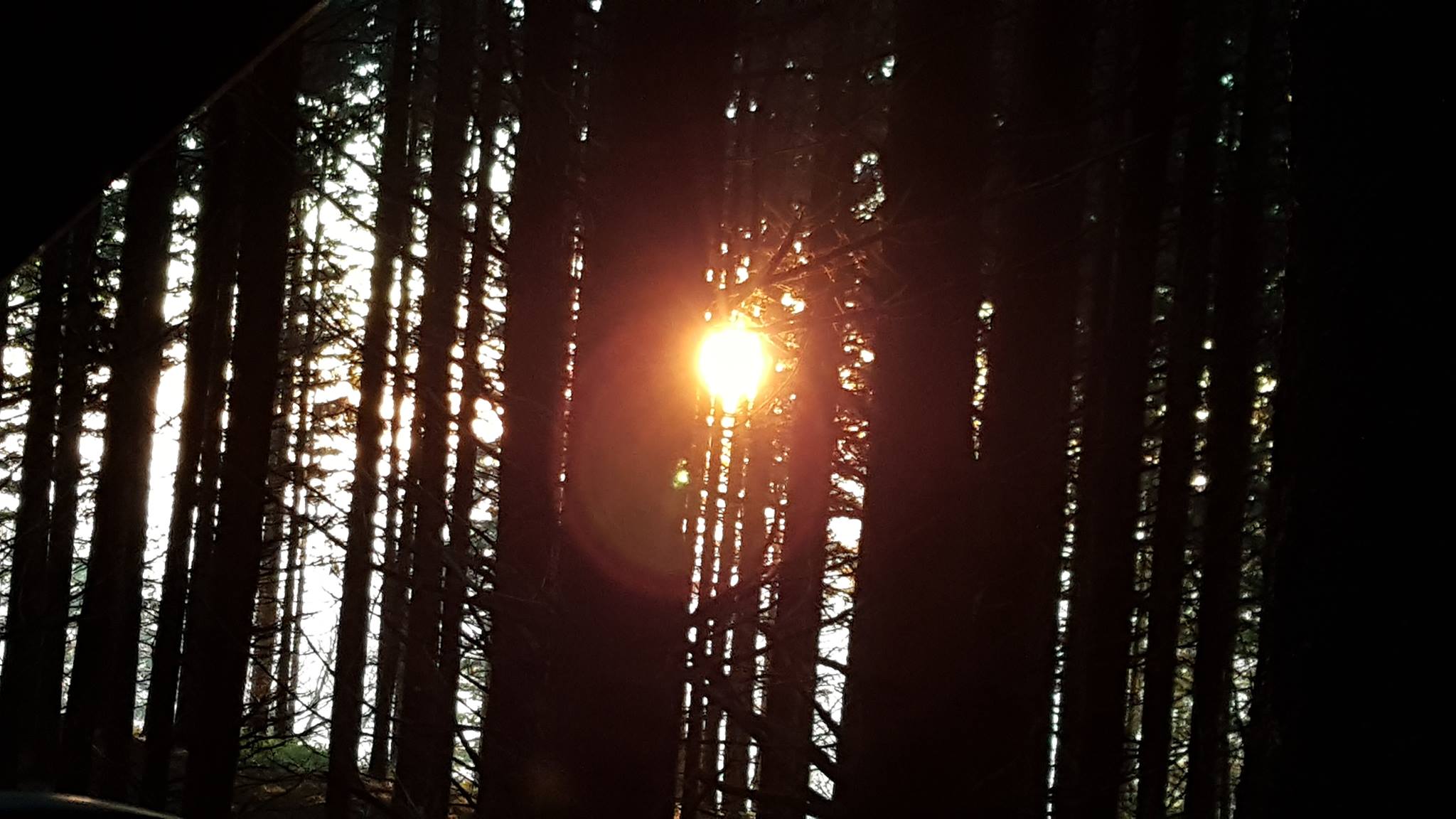 In bosco in fiamme, tramonto a Montesenario. E backstage