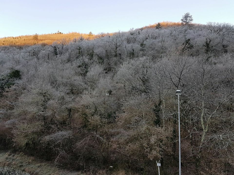 massimo berni vaglia