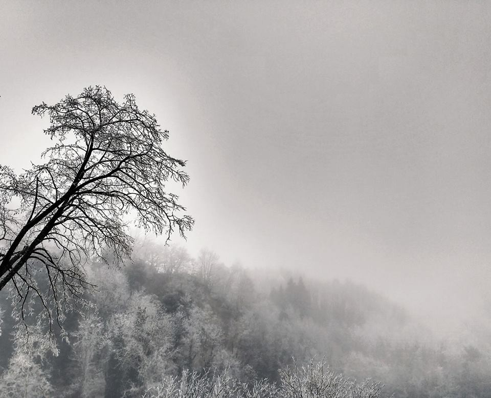 matteo marson mucciano