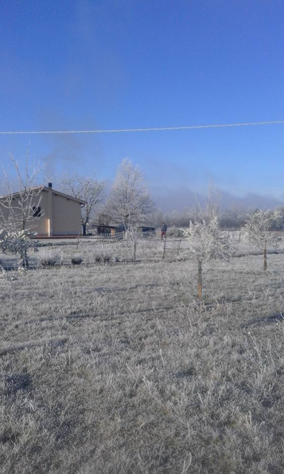 santa maria a vezzano donatella lippi