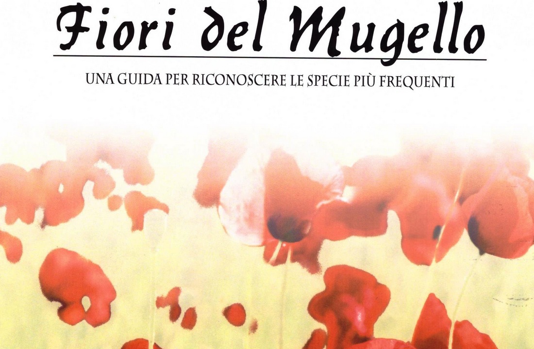 Fiori del Mugello. Domani al Giotto Ulivi si presenta la guida