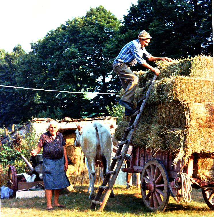 foto 2 convegno a vicchio