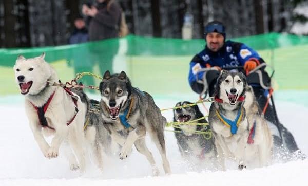 foto Daniele matteo bartolini