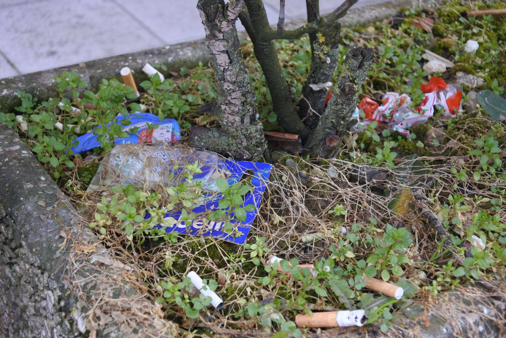 ilverdeenostro-febbario4