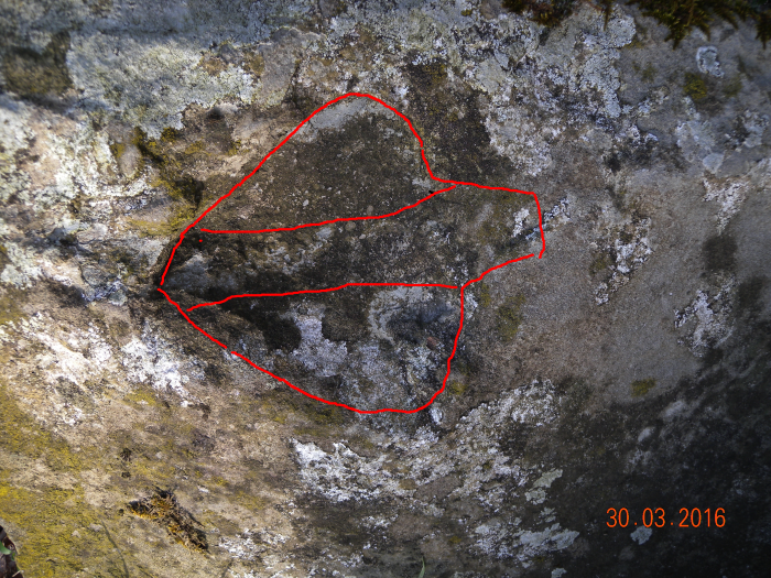 oppure-un-attrezzo-agricolo1