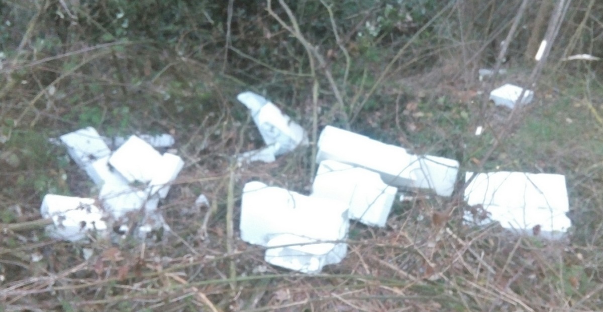 scarperia discarica 6