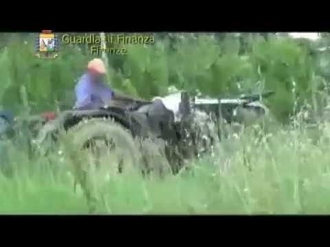 Falso cieco guidava il trattore. Condannato a 5 anni