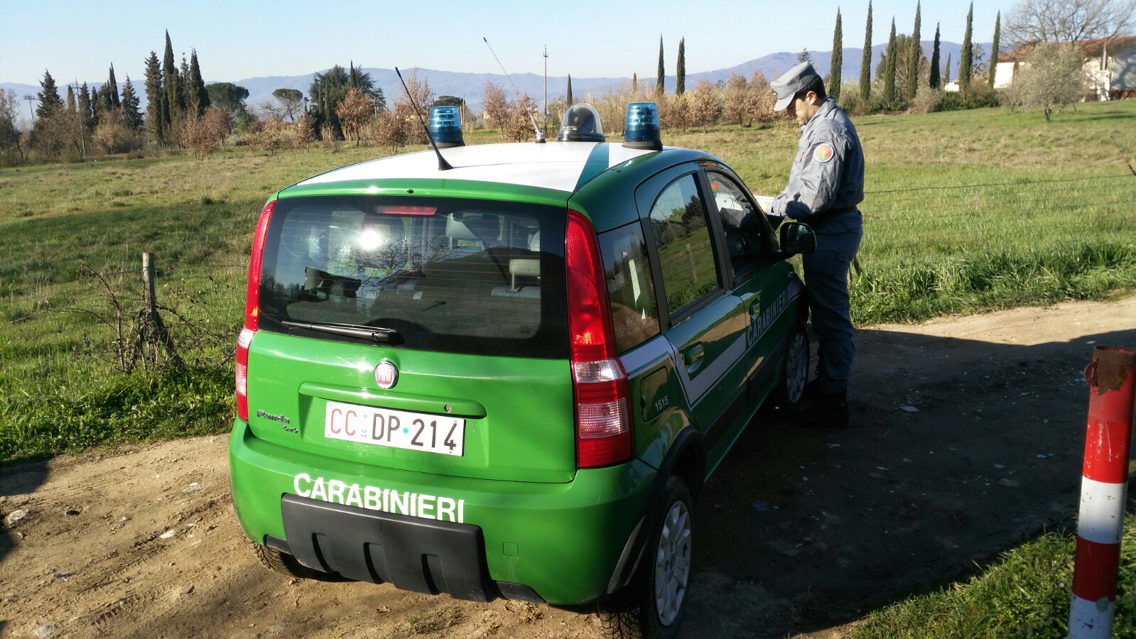 Forestale carabinieri