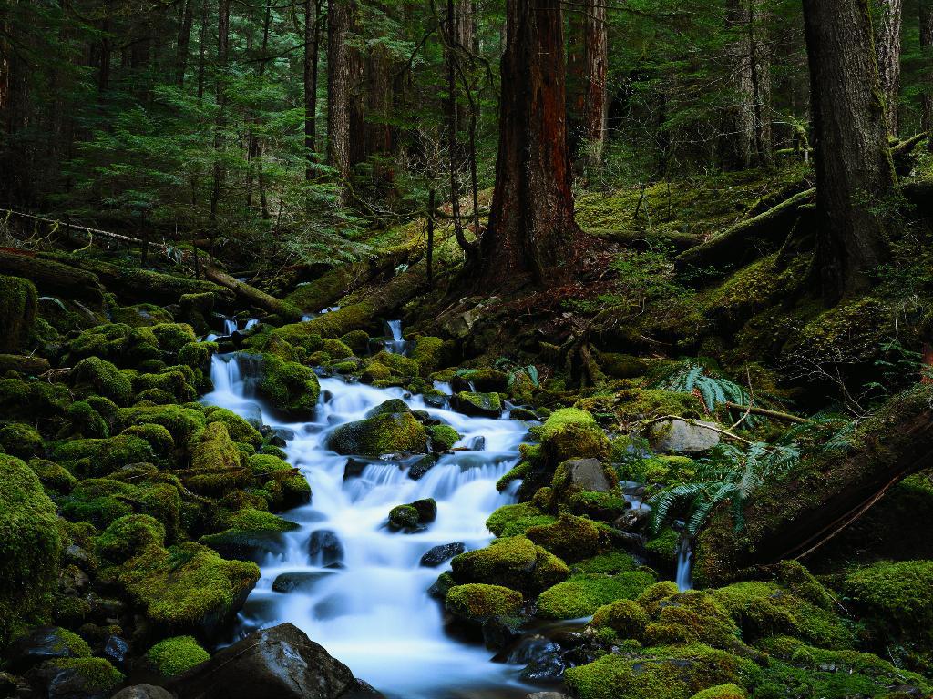 Giornata mondiale dell'acqua. Riflessione di Piera Ballabio