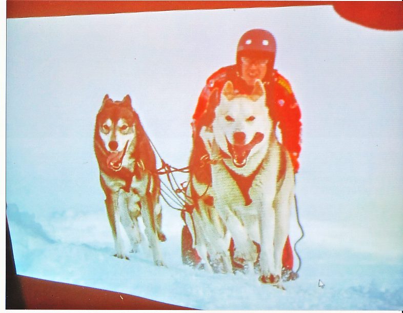 Sleddog. Matteo Bartolini si racconta