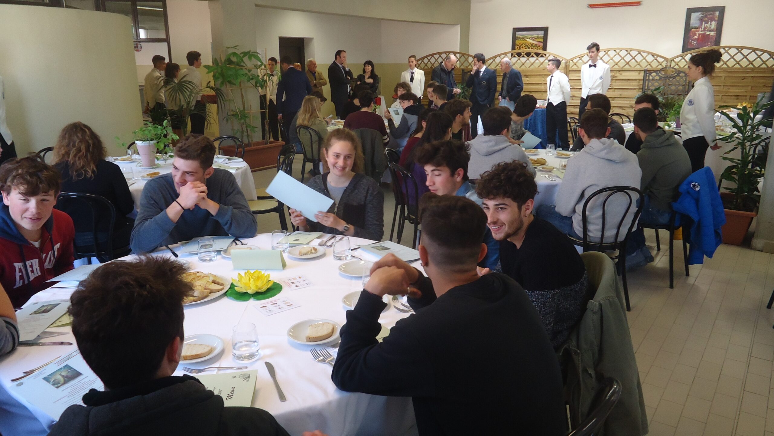 la sala del chino chini2