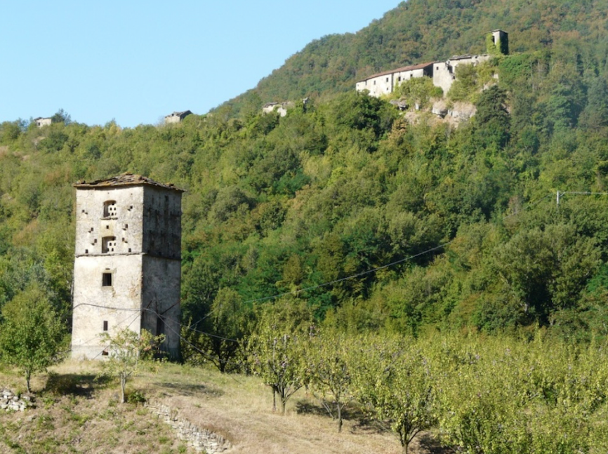 Il paesaggio agrario e forestale del Mugello. Evoluzione dall’antichità a oggi
