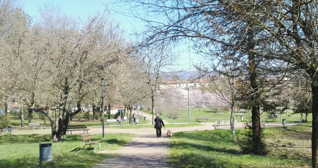 Parco della Misericordia... Lettera di un cittadino