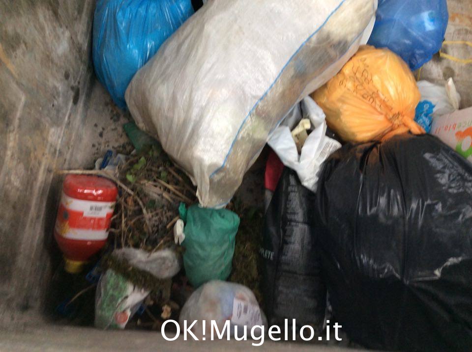 rifiuti_cassonetti_luco_05
