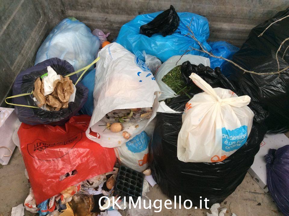 rifiuti_cassonetti_luco_12