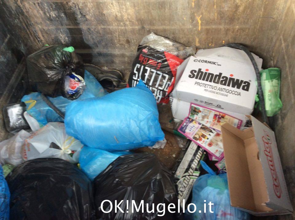 rifiuti_cassonetti_luco_16