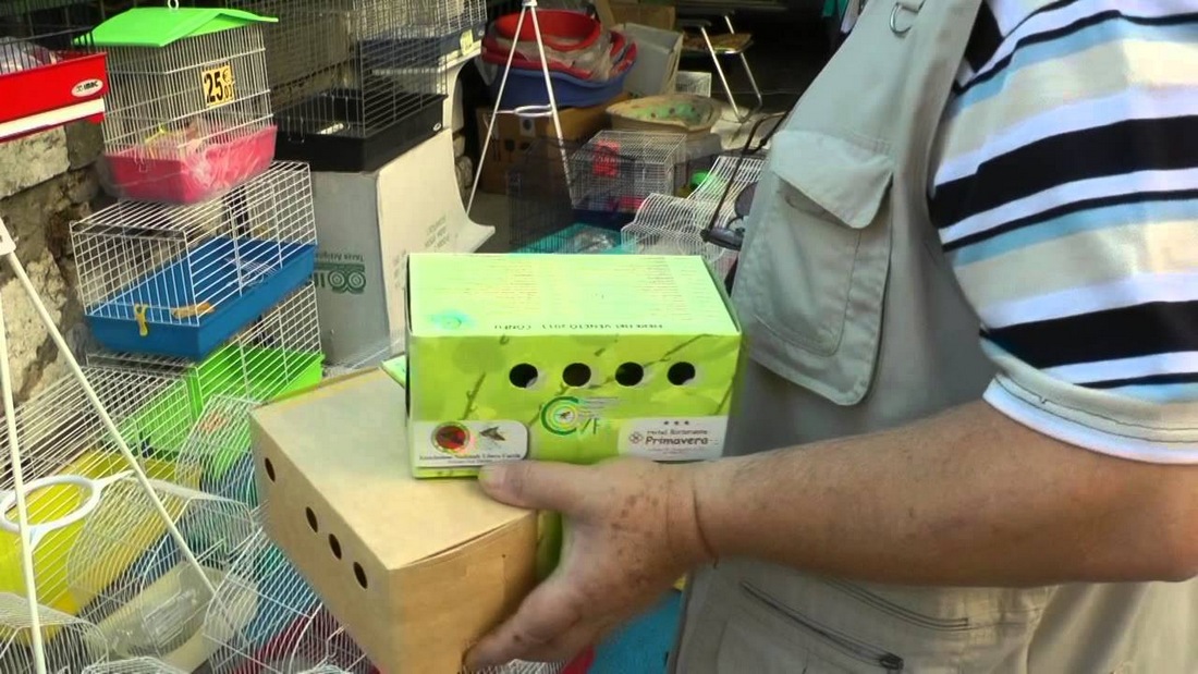 Lutirano nel mirino degli animalisti. Per la fiera ornitologica-venatoria