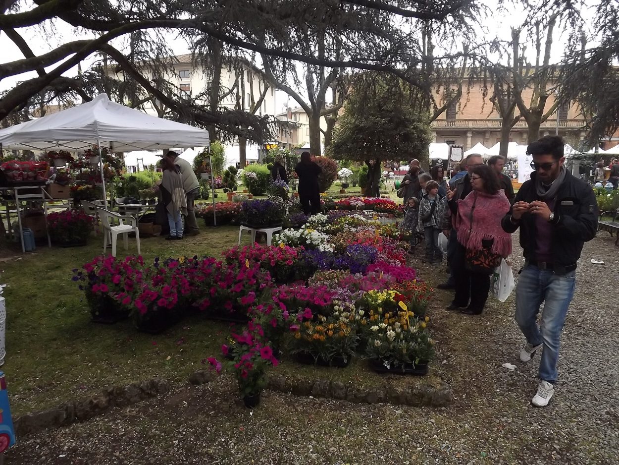 Grande pubblico a Borgo per la mostra dei fiori e del mercatino