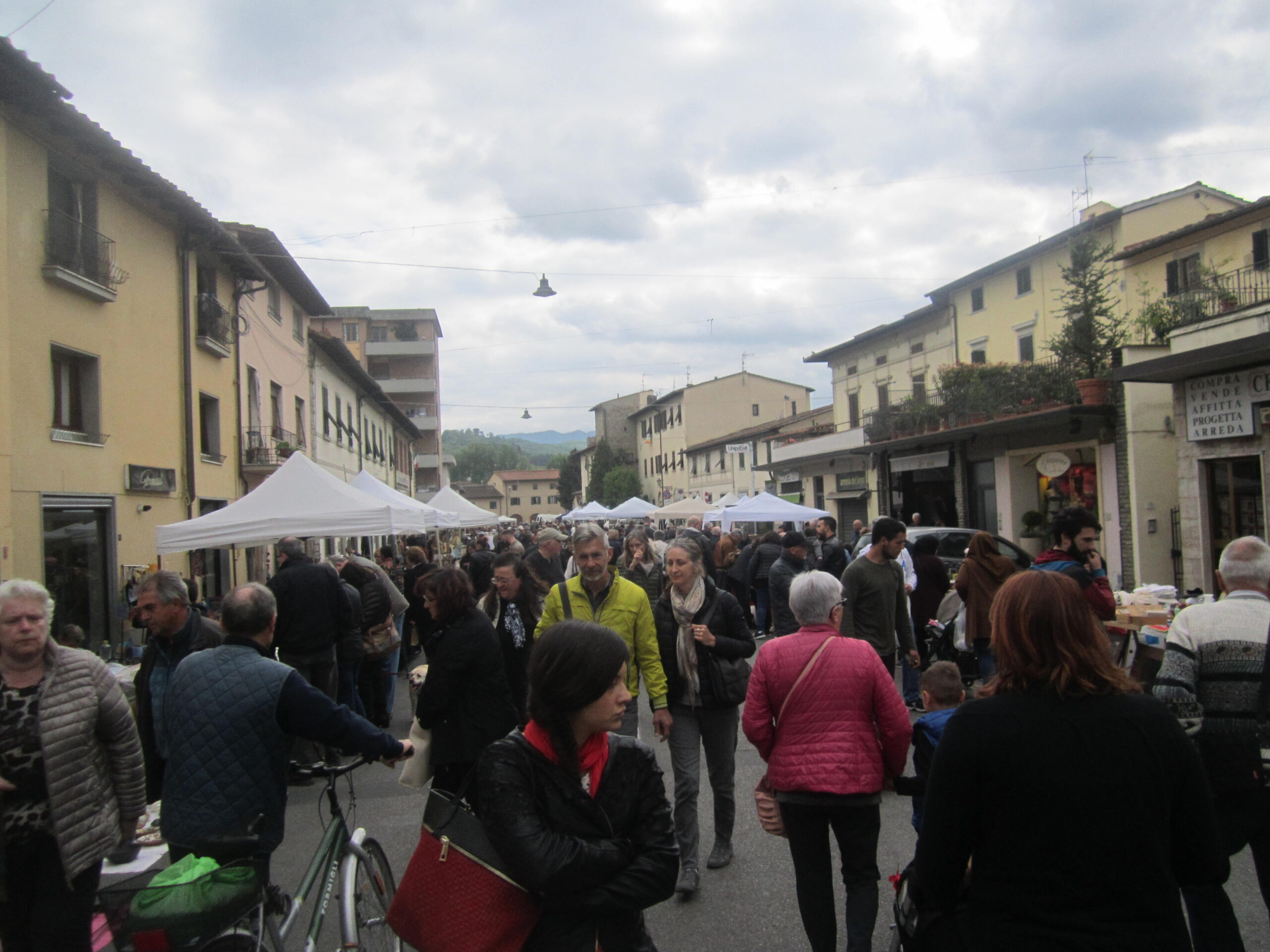 fioriinfiera-resoconto-4