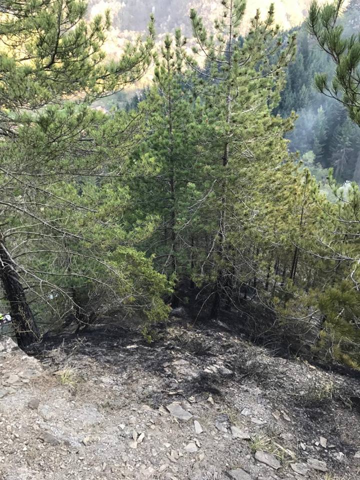 Incendio di Razzuolo. Foto e video dell'intervento