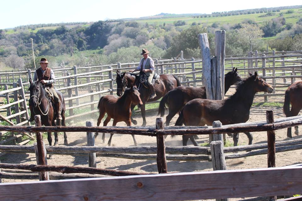 storia natura maremma 10