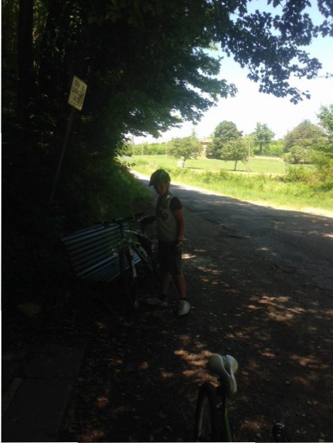 Una gita in mountain bike, nel Mugello. L'itinerario di un lettore