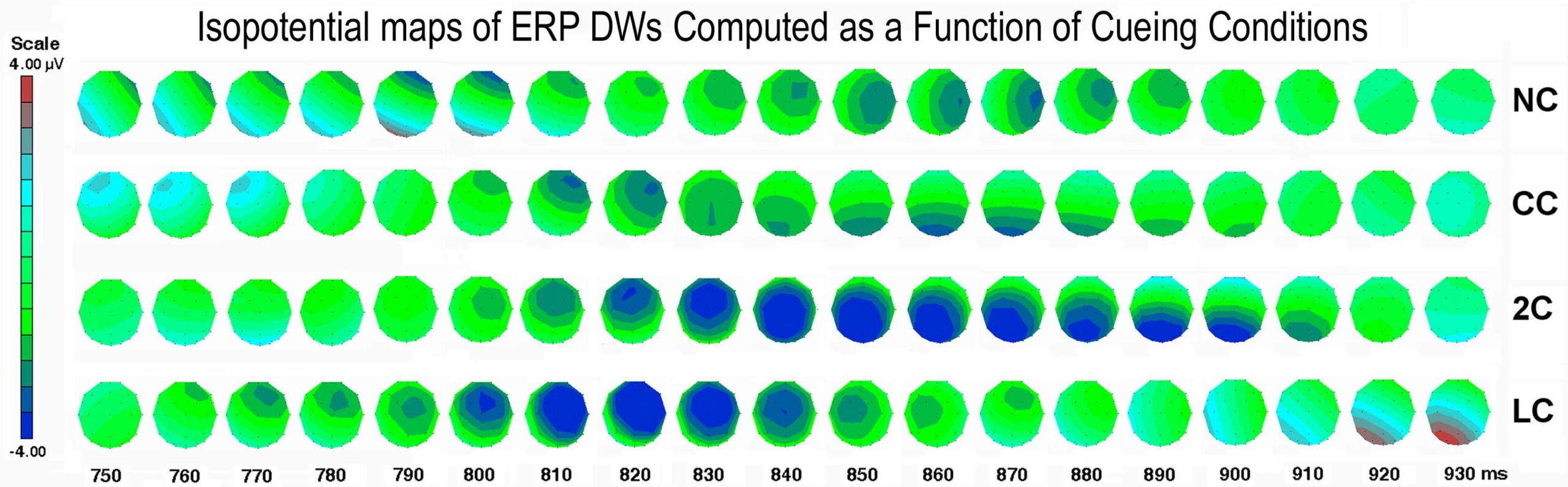 documentazione-cnr-4