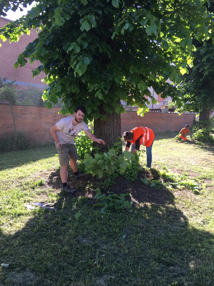 operazione verde luco 2