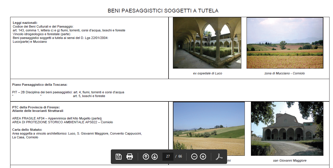 Bambù a Mucciano? Lettera aperta al Comune e all'Unione, tramite OK!Mugello