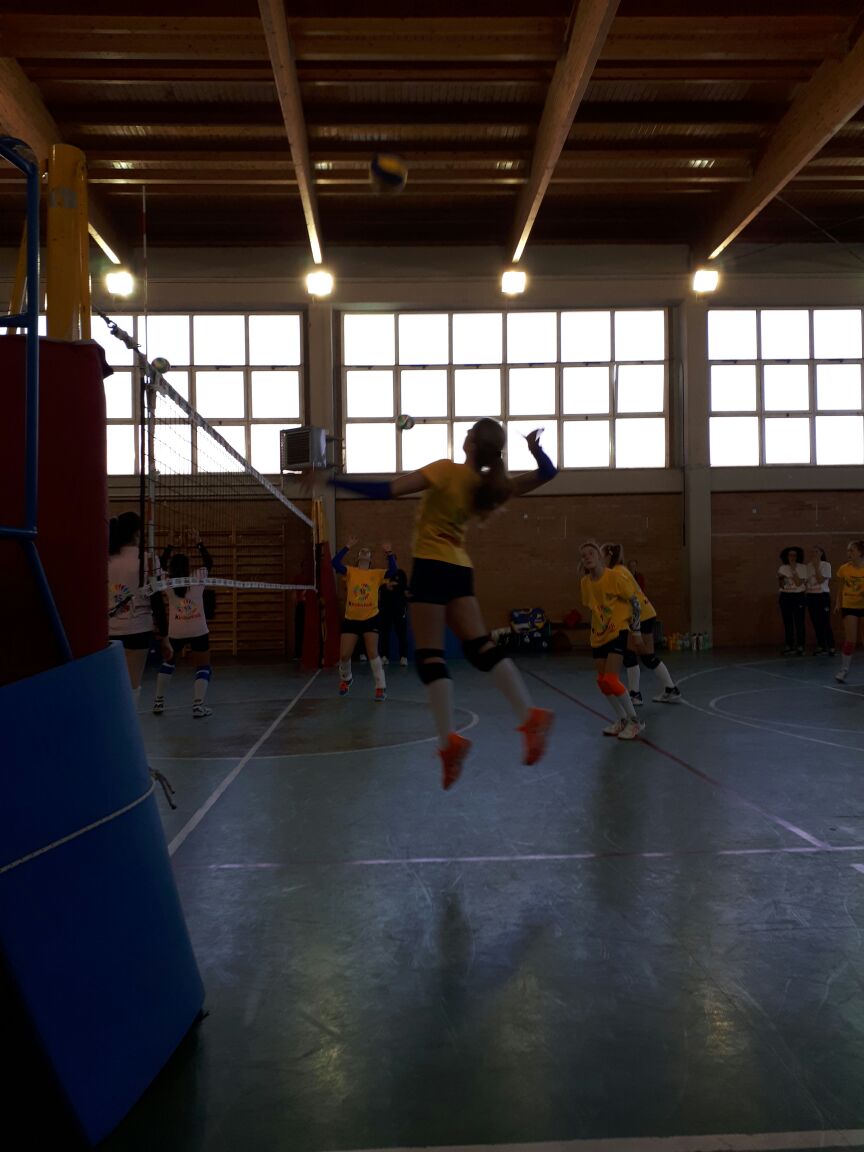 volley-3
