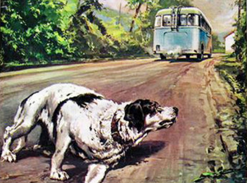 A Luco sulle orme di Fido. Sabato passeggiata e molto altro