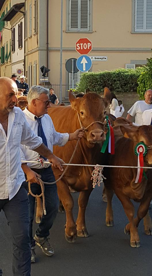 Fiera agricola. Organizzatori soddisfatti: 'Un successo'