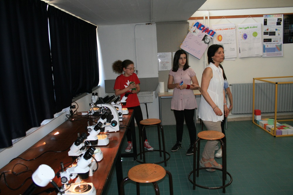 giochi scuola media 2017 6