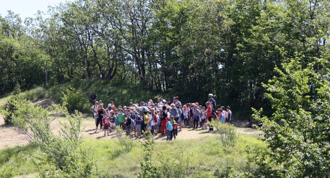 Giornata nella natura per i bambini. Organizza l'Unione Cacciatori Marradesi