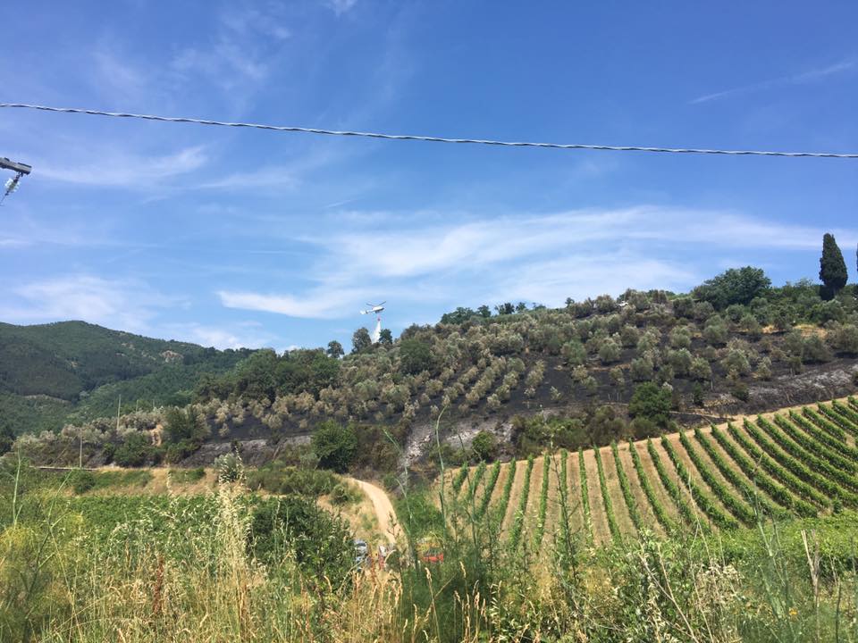 Dicomano, spento l'incendio a Frascole. Si contano i danni per l'oliveta percorsa dal fuoco