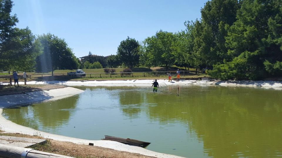 Laghetto Misericordia: pulizia effettuata, via al riempimento