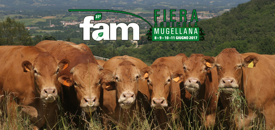 logo-fam-1