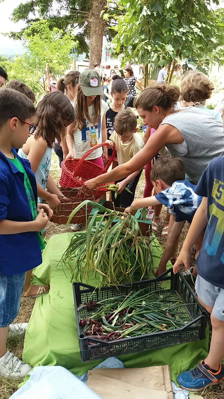 Ortolani alla Riscossa! a Vicchio. Foto del Giorno di OK!Mugello