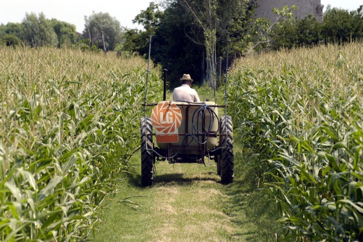 Il logo del partito della terra al Poderino