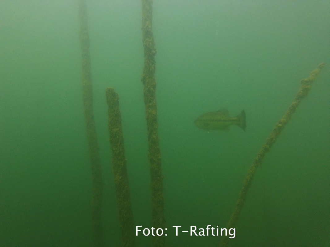 fantasfma-bilancino_02