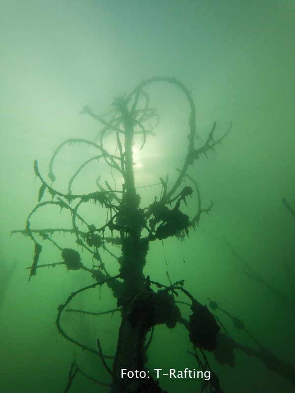 fantasfma-bilancino_07