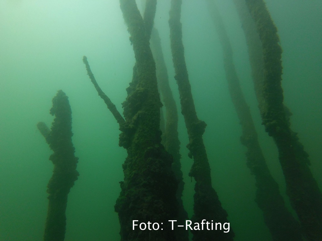 fantasfma-bilancino_08