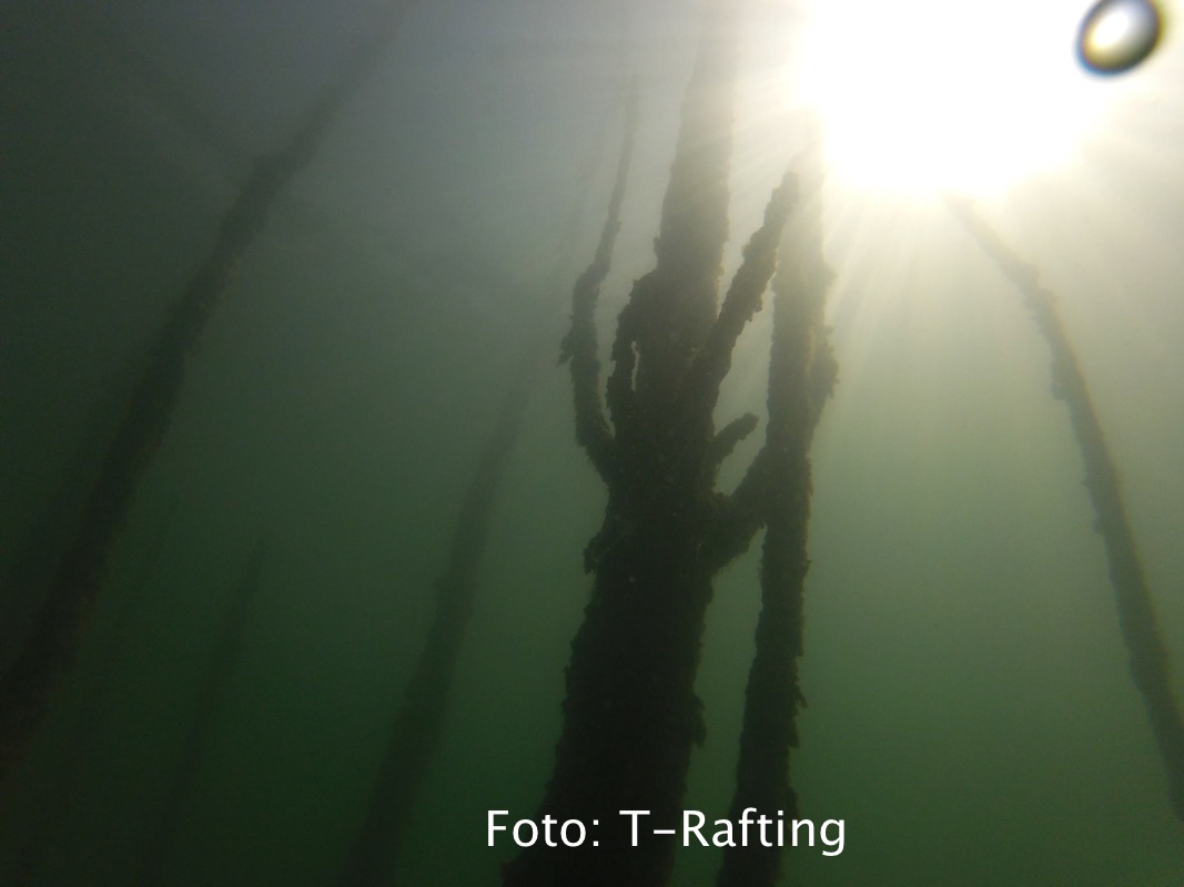 fantasfma-bilancino_11